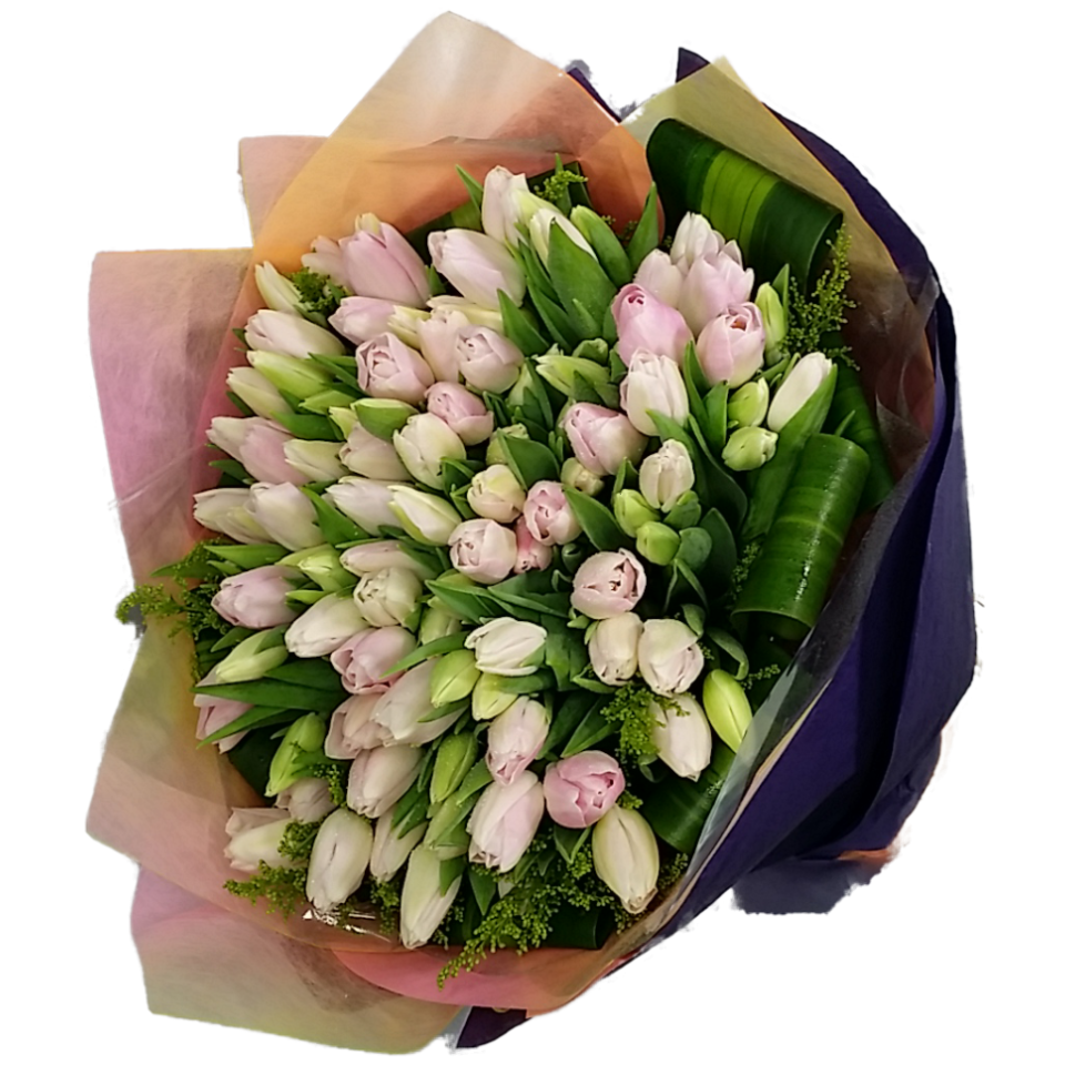 100pcs Holland Tulips Bouquet 100pcs Holland Tulips Bouquet