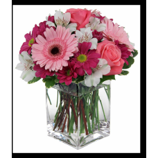 Blushing Beauty Pink