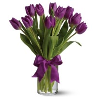 Passionate Purple Tulips in Vase