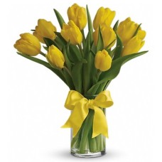 Sunny Yellow Tulips in Vase
