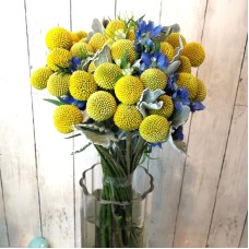 Ping Pong Ball in Vase