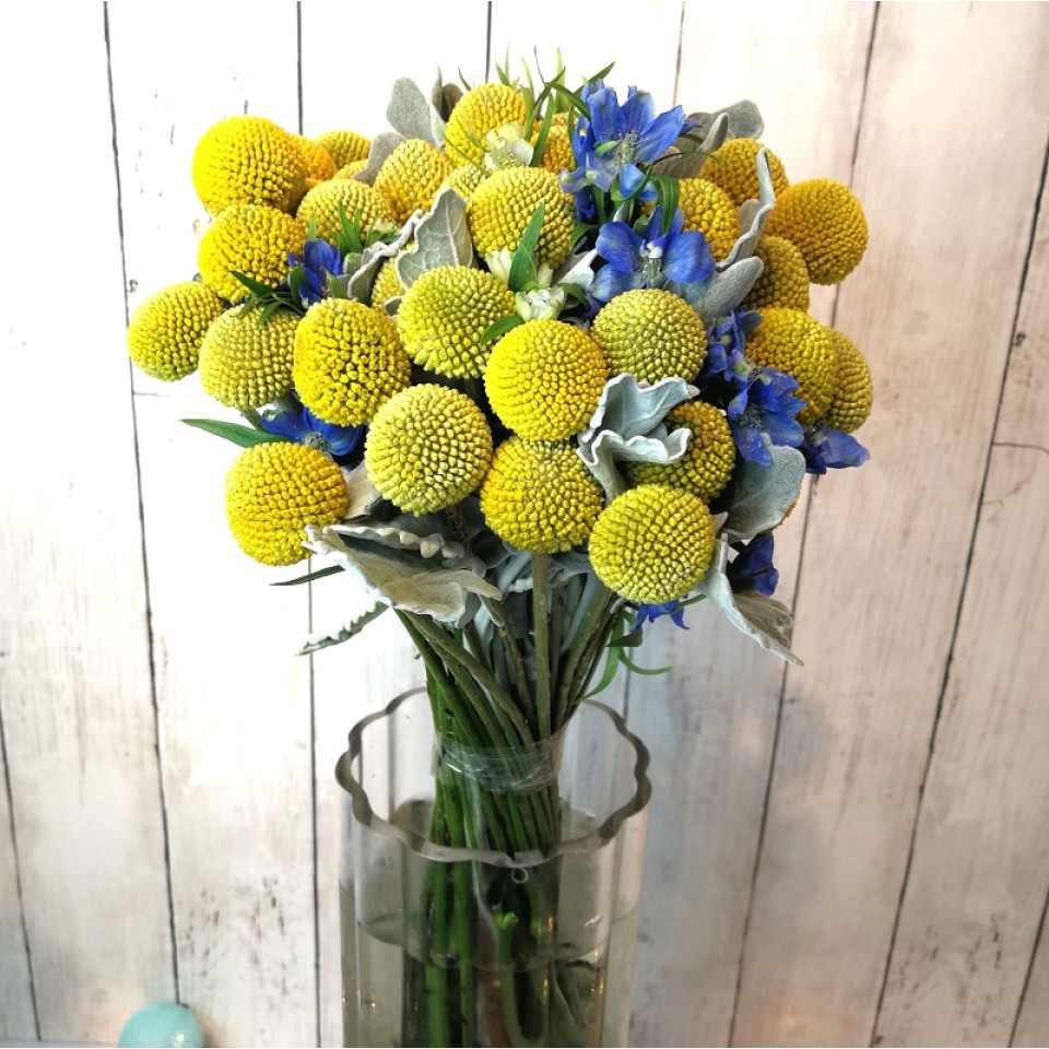 Ping Pong Ball in Vase