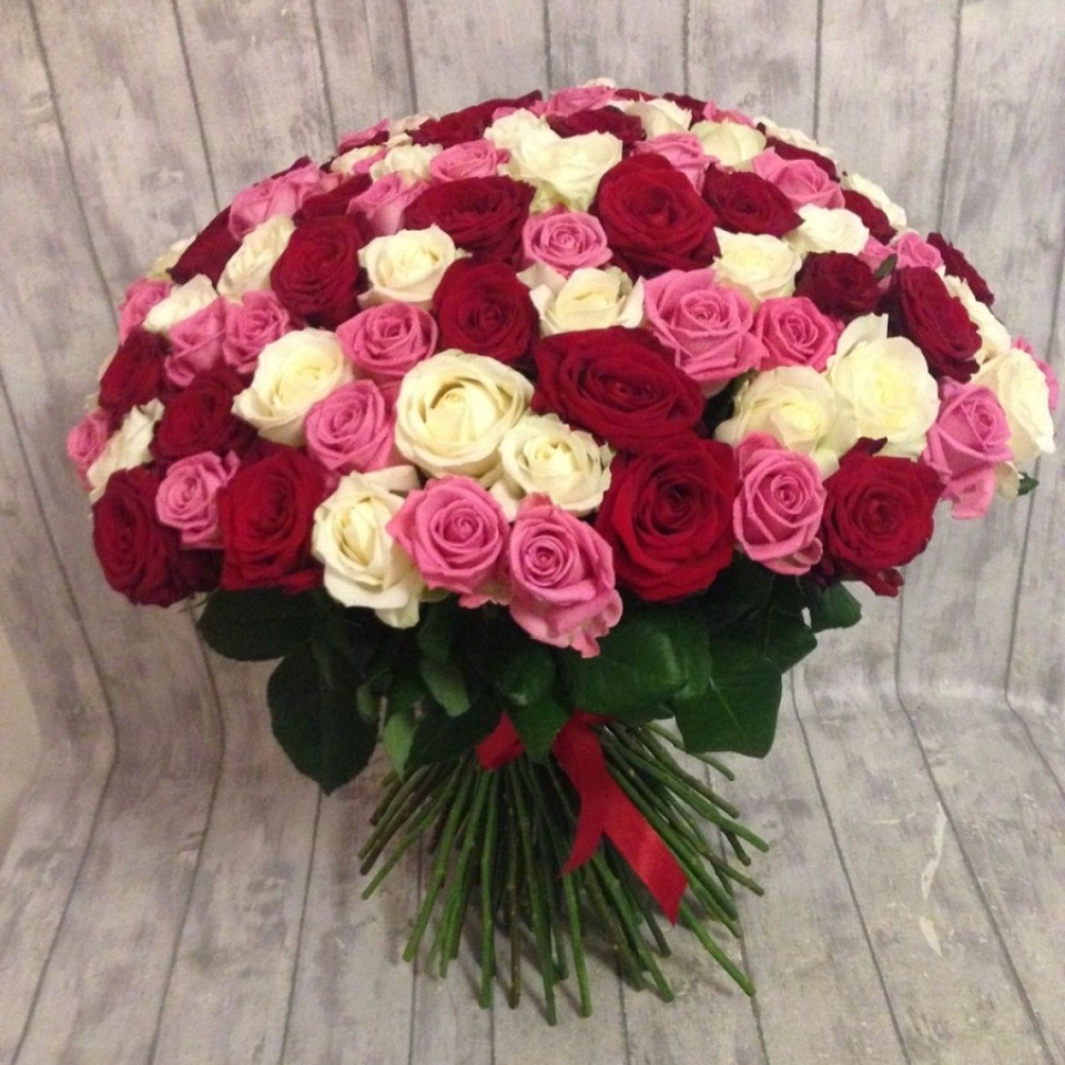 My Angel 100 Pcs Roses