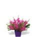 Orchid Arrangement