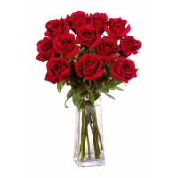 12 Long Stem Premium Roses in Vase 