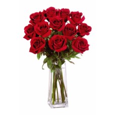 12 Long Stem Premium Roses in Vase 
