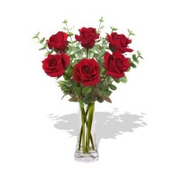 6 Long Stem Premium Roses in vase