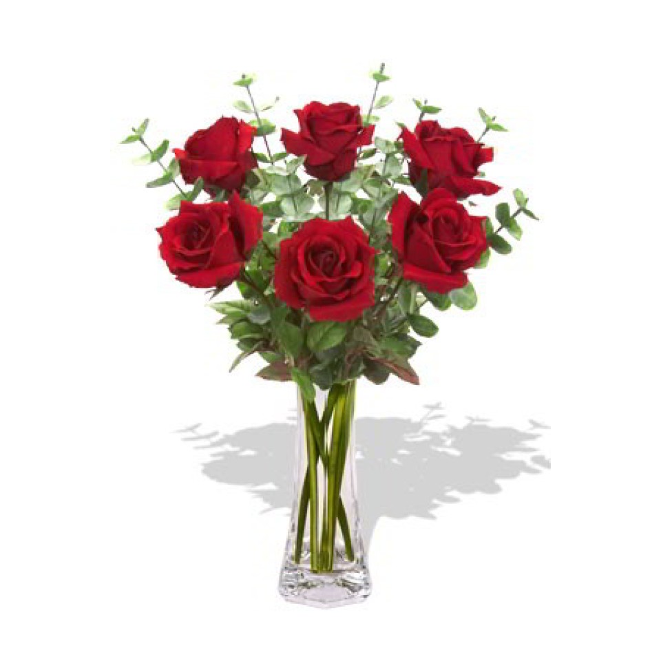 6 Long Stem Premium Roses in vase 6 Long Stem Premium Roses in vase