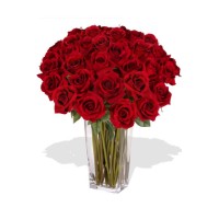 30 Rose in Vase