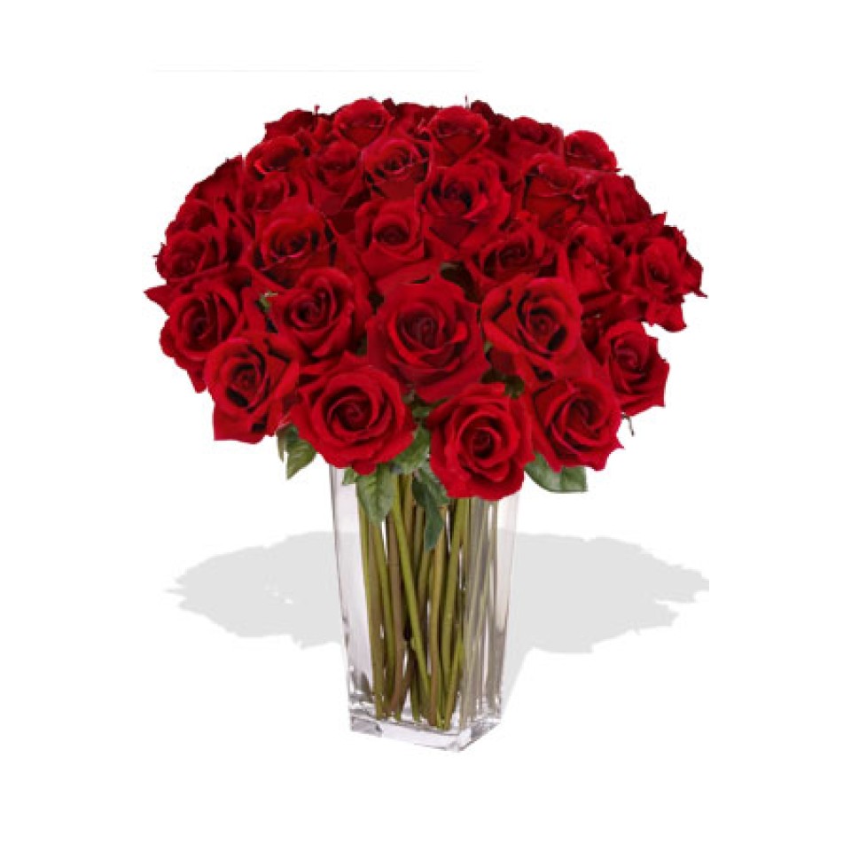 30 Rose in Vase 30 Rose in Vase