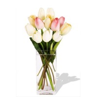 10 Mixed Holland Tulips  in Vase 