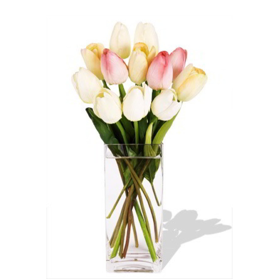 10 Mixed Holland Tulips  in Vase 