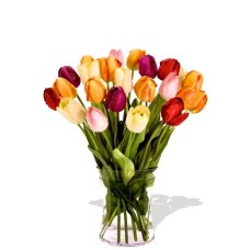 24 Mixed Tulips in Vase