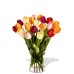 24 Mixed Tulips in Vase
