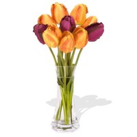 10 Mixed Tulips in Vase