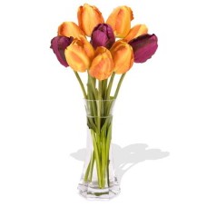 10 Mixed Tulips in Vase