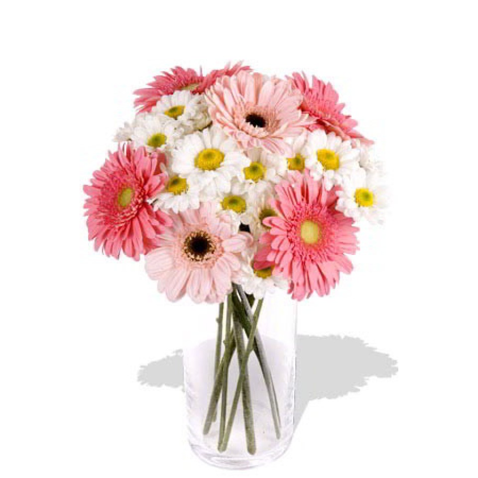 16pcs Mixed Gerbera and Chrysathemum  in Vase 