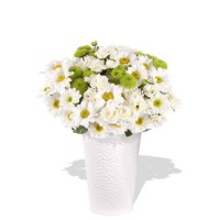 Mixed Spray Rose and Chryssie Bouquet