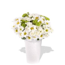 Mixed Spray Rose and Chryssie Bouquet