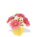 Mixed Chrysanthemum and Gerbera Bouquet
