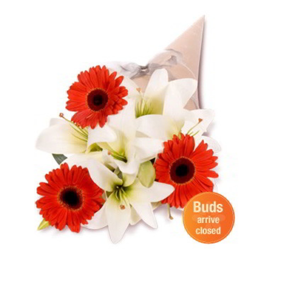 Gerbera and Asiatic Bouquet Gerbera and Asiatic Bouquet