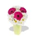 Gerbera and Chrysanthemum Bouquet Gerbera and Chrysanthemum Bouquet