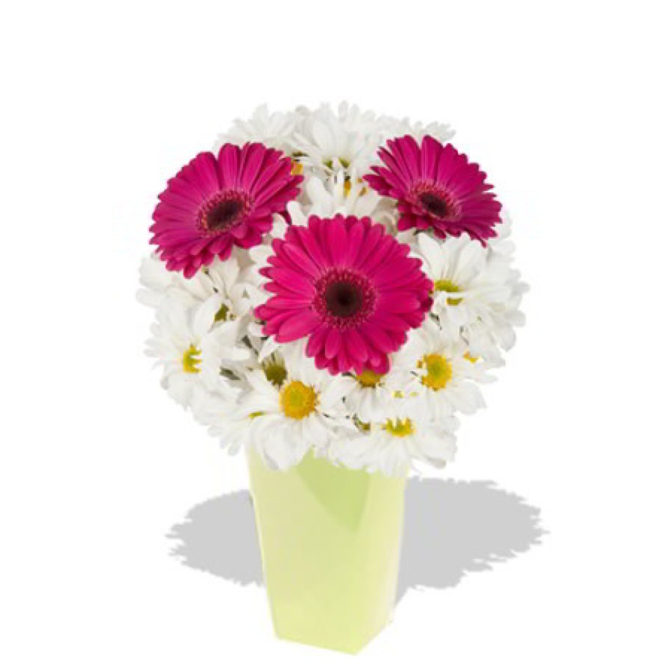 Gerbera and Chrysanthemum Bouquet Gerbera and Chrysanthemum Bouquet