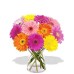 12 Gerberas in Vase 