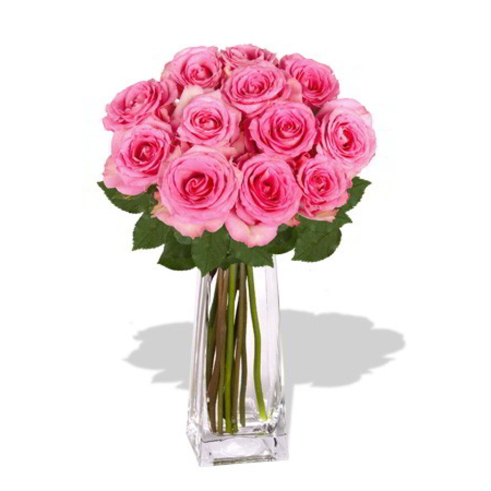 12 Rose in Vase 