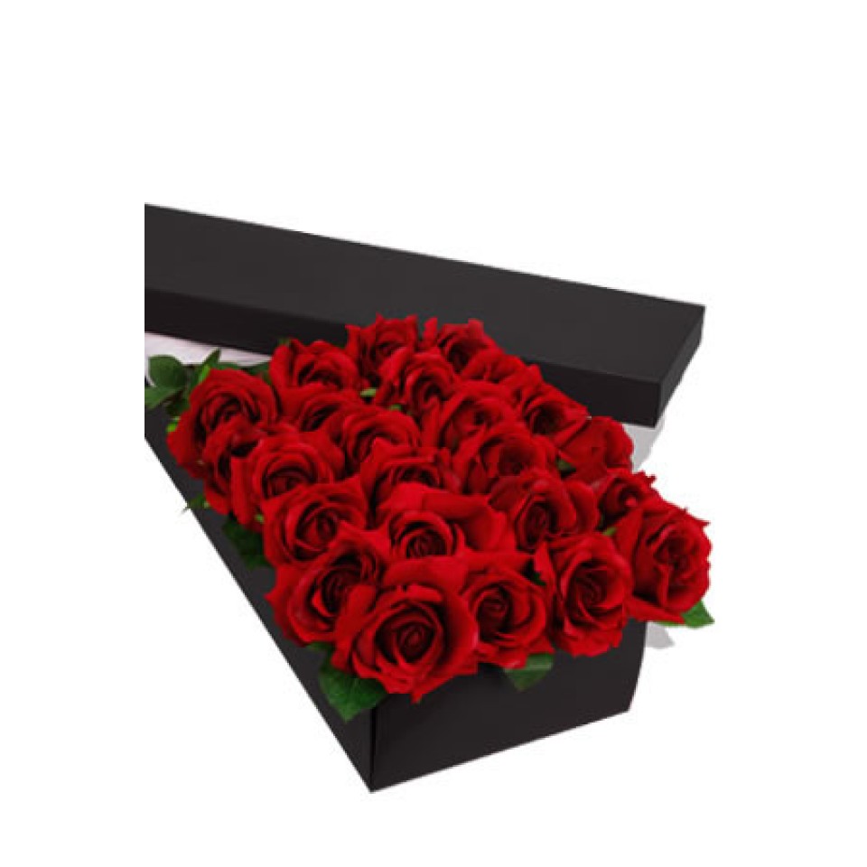 24 Long Stem premium Roses Presentation Box 24 Long Stem premium Roses Presentation Box