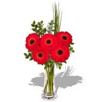 Small Gerbera in Vase