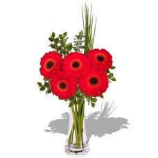 Small Gerbera in Vase