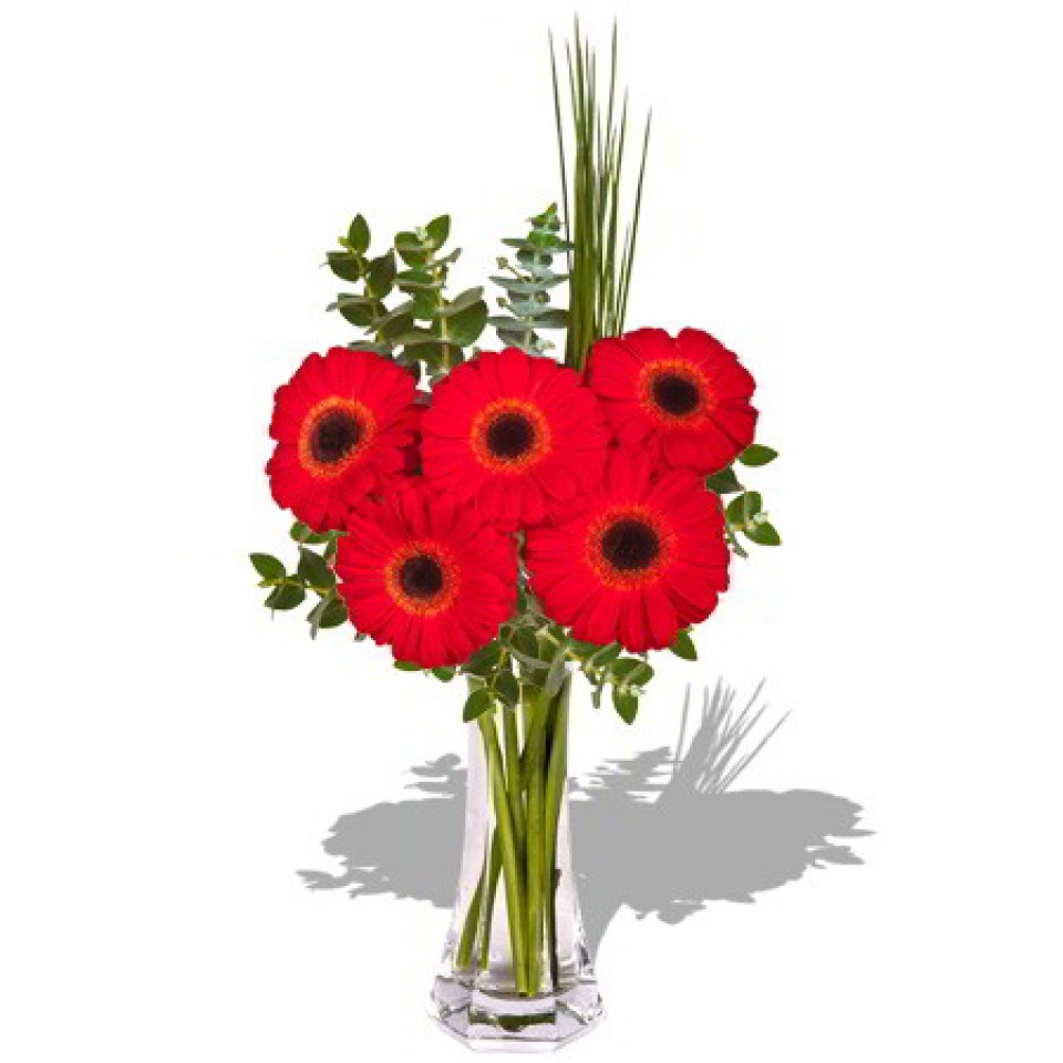 Small Gerbera in Vase