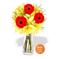 Asiatic and Gerbera in Vase