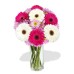 Gerbera and Chrysanthemum Bouquet