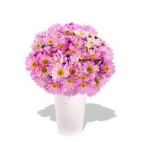 Chrysanthemum Bouquet