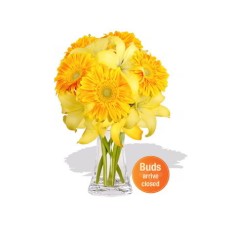 Gerbera and Asiatic in Vase