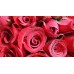 30 Stems Red Roses in a Round Gift Box
