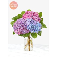 The Andrea Vase  - Three Hydrangea