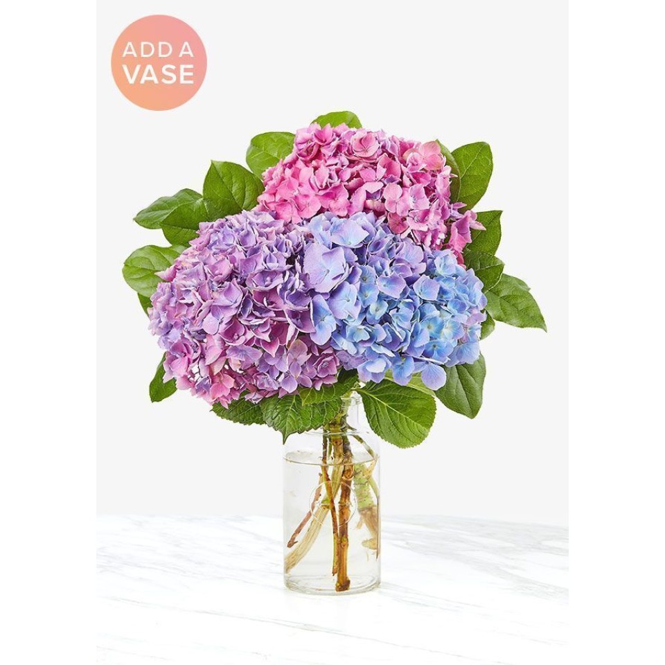 The Andrea Vase  - Three Hydrangea