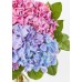 The Andrea Vase  - Three Hydrangea